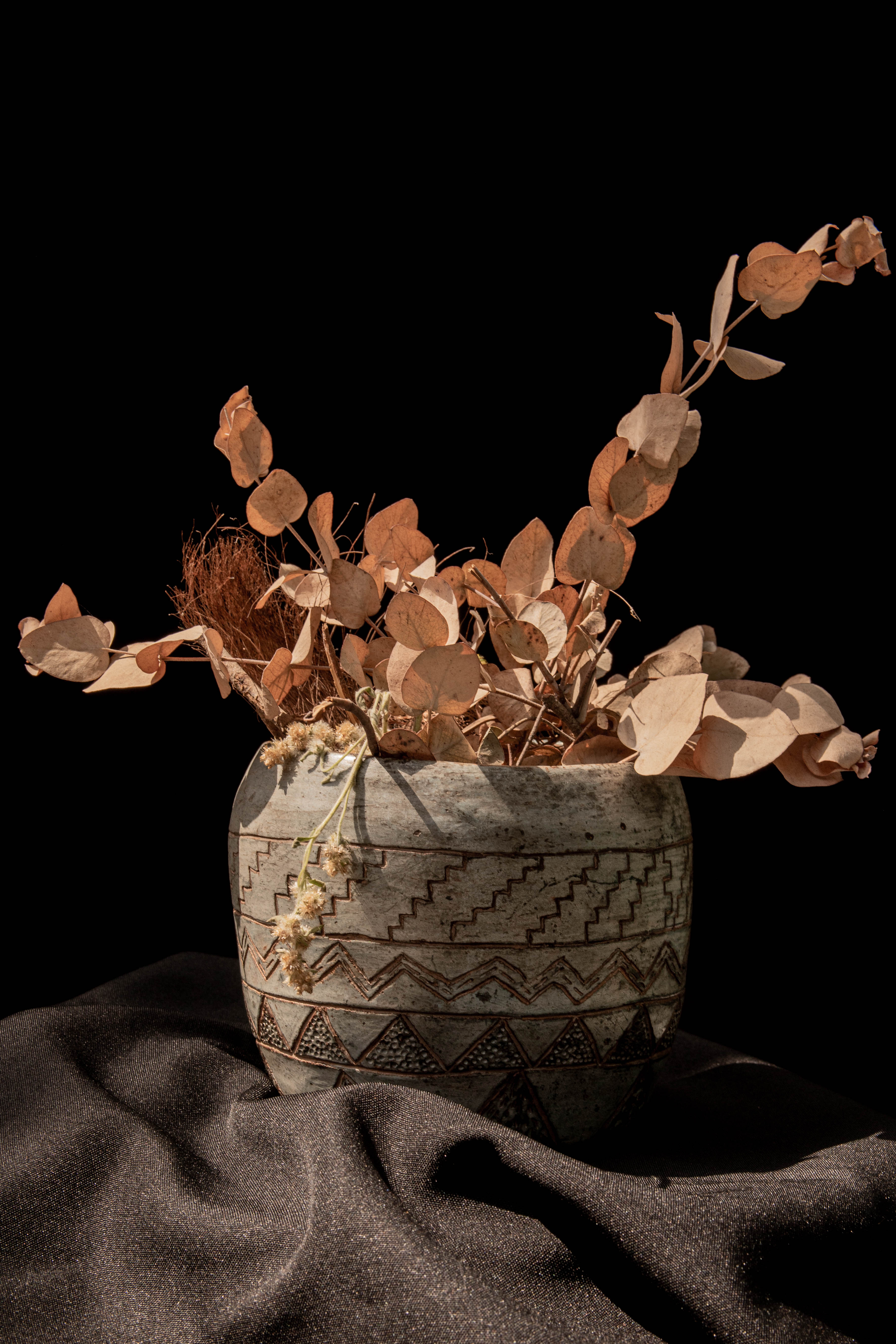 Semilla de Horizonte