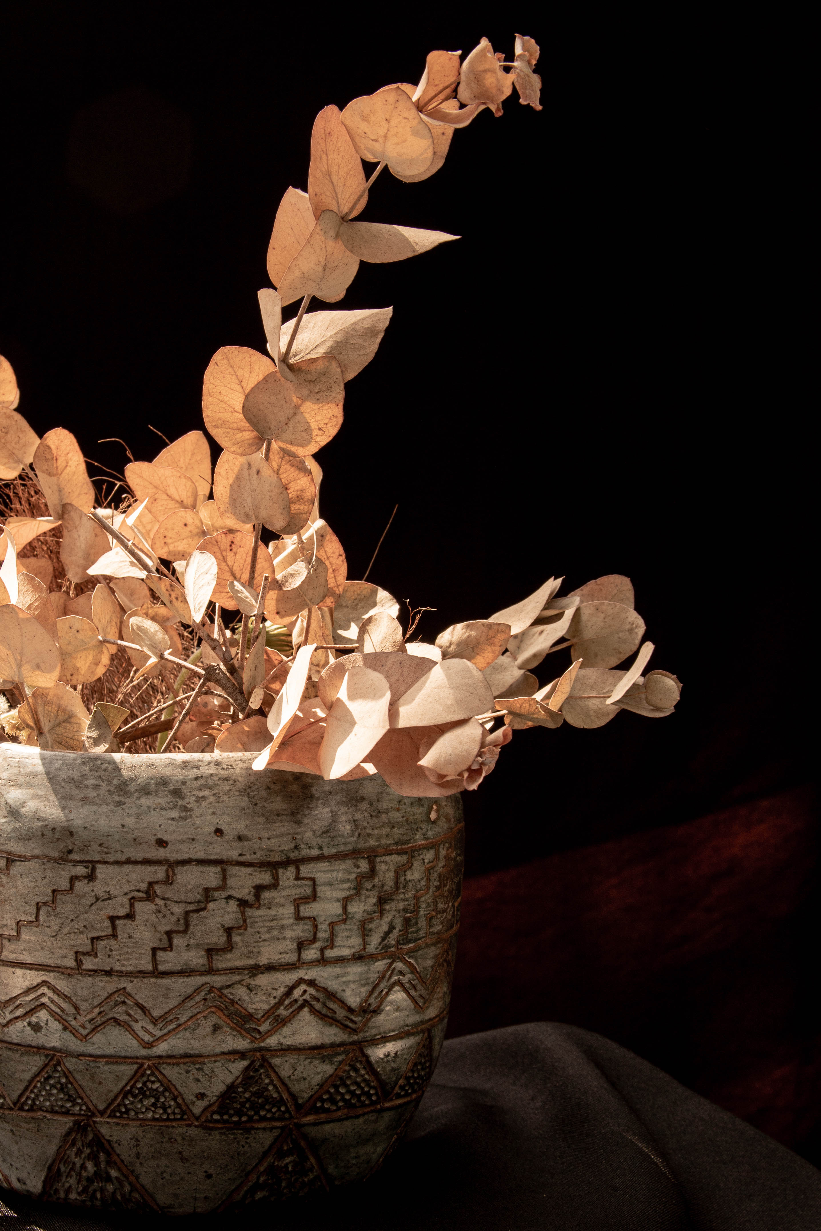 Semilla de Horizonte - imagen 2